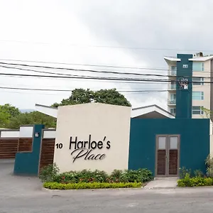  Apartment Harloe'S @ Kingstongo876